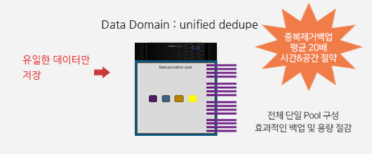 Data Domain